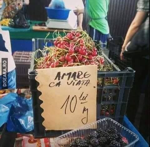 Marketing
