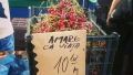 Marketing