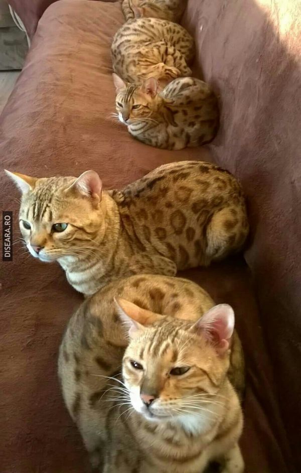 In familie !