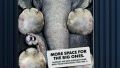 Inspired advertising (3)