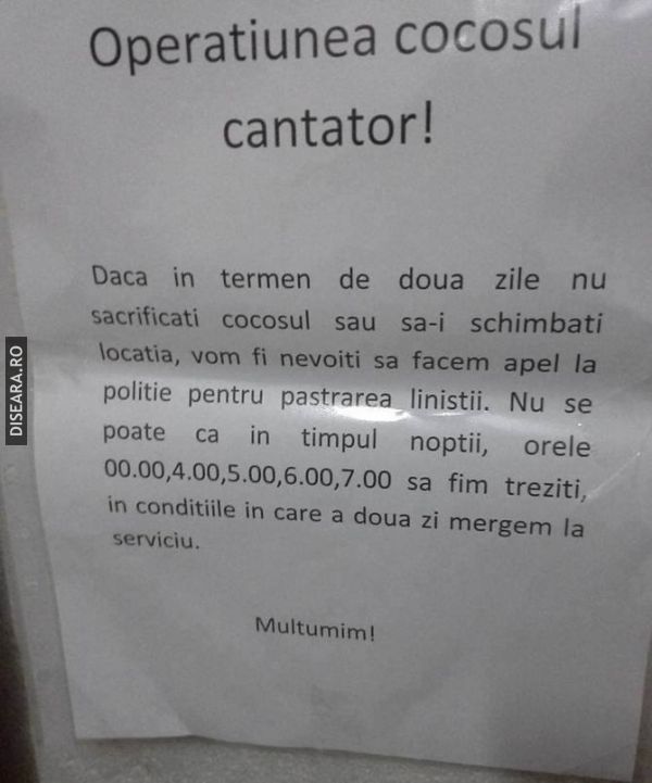 Operațiunea "cocoșul cântător"
