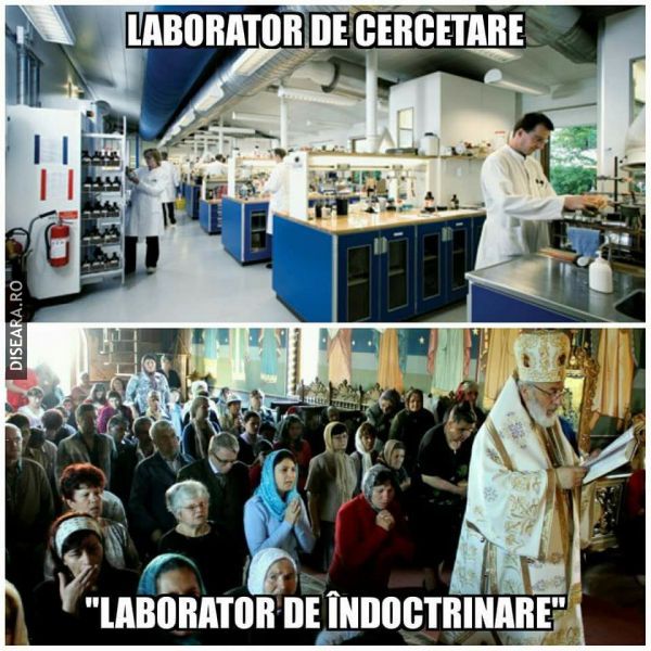Laboratoare