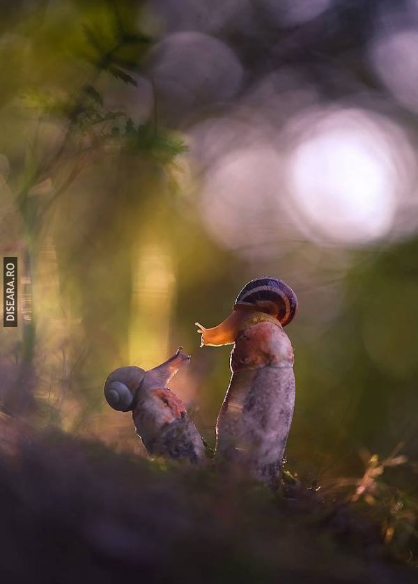 Meeting at Height