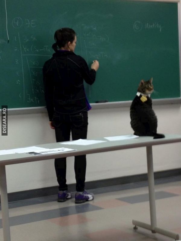 Shhh! Linişte...că te scot la tablă!