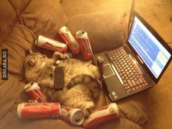 My weekends