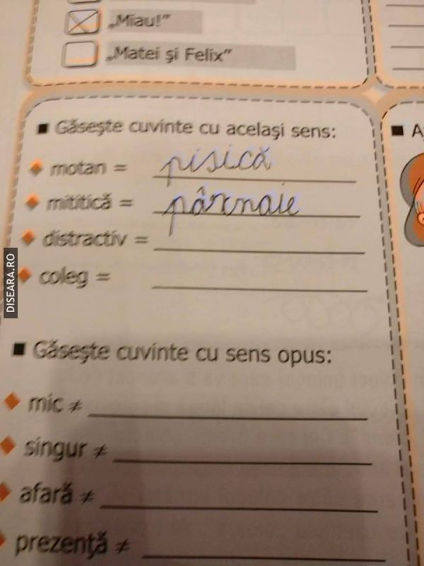 A început școala!