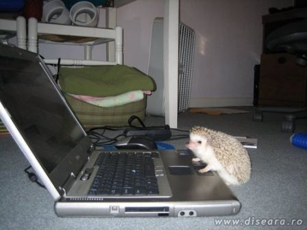 I cannot rech the "U" key, can you push me a little ?