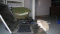 I cannot rech the "U" key, can you push me a little ?
