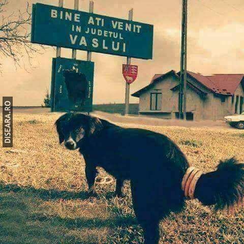 Oare asa sa fie? 