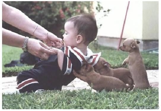 Wait, we'll push you up...