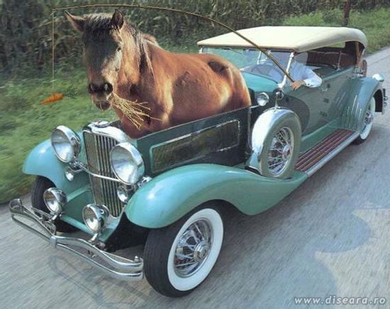 One horse power