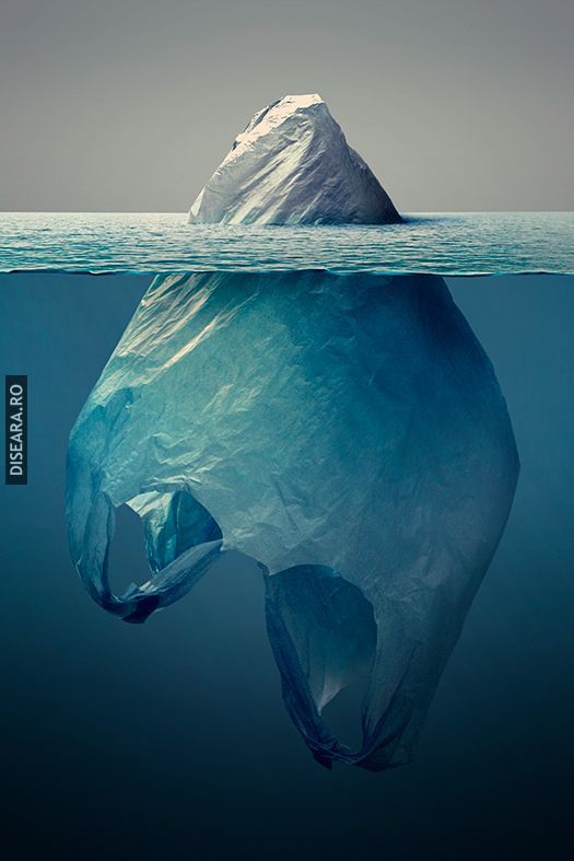 The Ocean