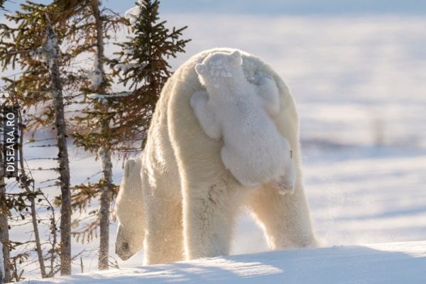Hide and Seek
