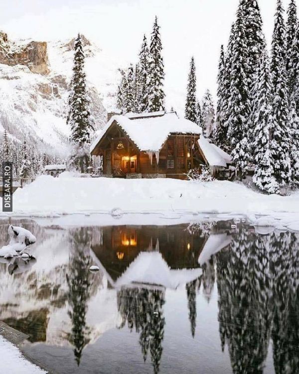 Winter view