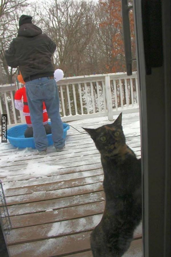 Open the door... cannot you see what this one is making to Santa Claus?!