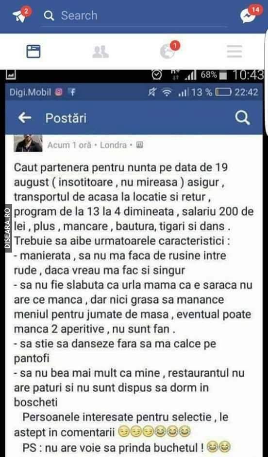 Looking for a patrner