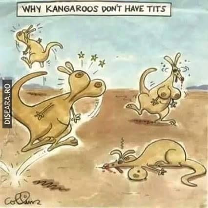 No comment