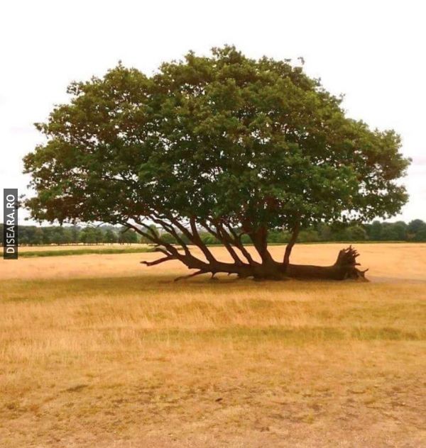 A Lesson about Failure and Not Giving Up