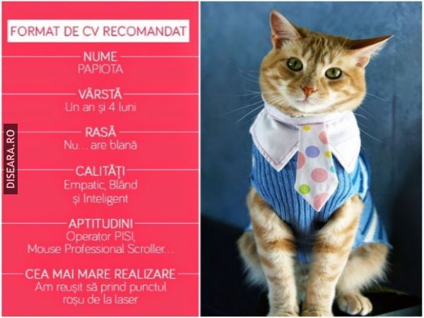 A heavy CV