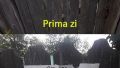 Și netul ăsta...
