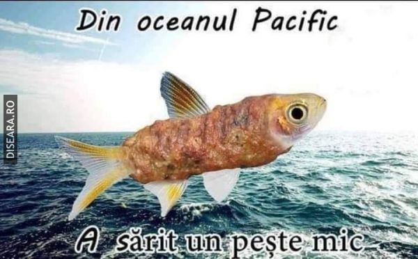 ..si-a sarit in Atlantic