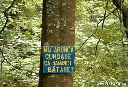 The forest is revolting