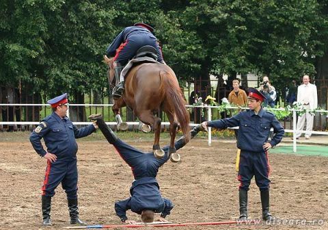If you have balls to do that...