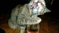 Bottle opener