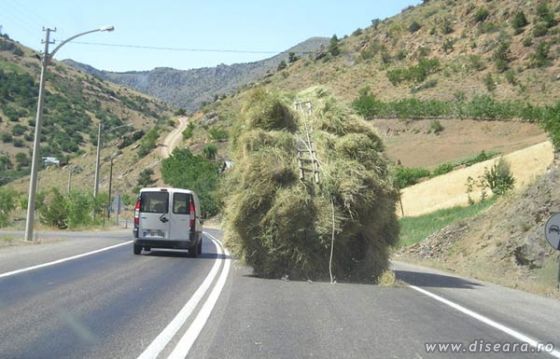 After harvest