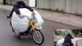 Pe drum