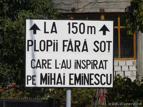 Indicator
