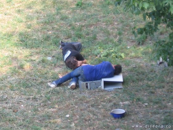 Programmer at piknik