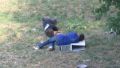 Programator la picnic