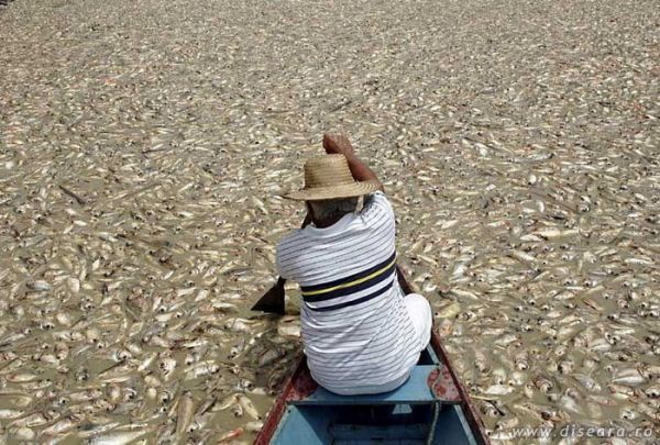 Easy to fish, but...