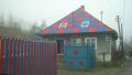 Steaua big fan