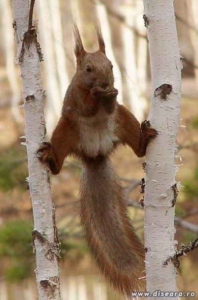 Break for a Snack