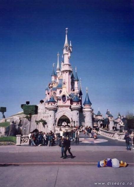First case of chicken flu at Paris
