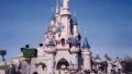First case of chicken flu at Paris