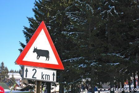Orasul hamburgerilor