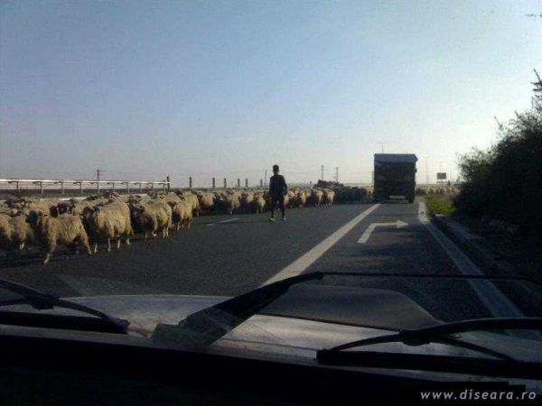 The highway is very crowded today...