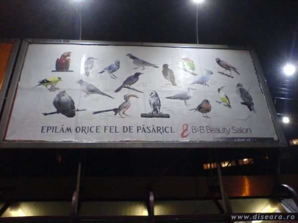 Epilare fara discriminare