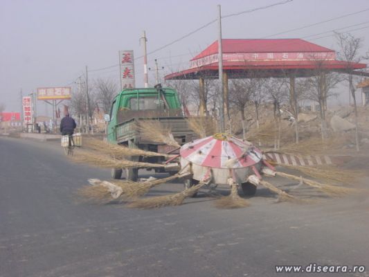 Made in China
