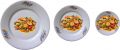 The plates