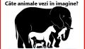 Cate animale sunt in imagine?