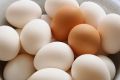 The problem with eggs