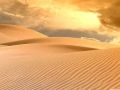 Mortul din desert