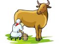 The liters of the cows