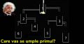 Care vas se umple primul