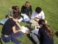 Statistica