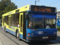 Soferul de autobuz 